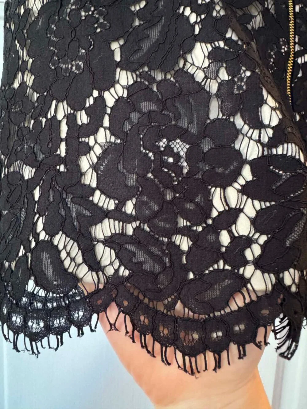 Size 14: Formal Eliza J black lace cropped top